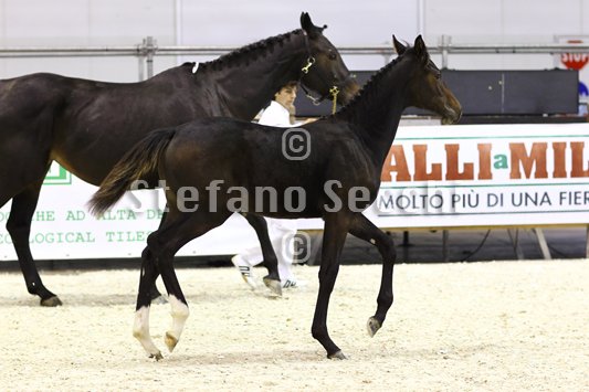 PRINCESS LIESA_MILANO_2010_SS3_7432.jpg